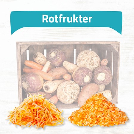 Rotfrukter