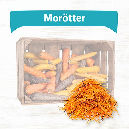 Morötter