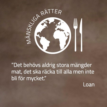 Loan citat