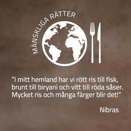 Nibras citat
