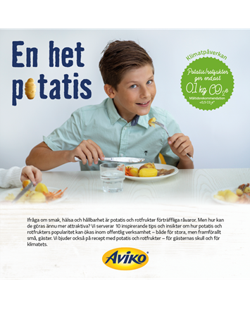 Aviko_En_het_potatis_folder.pdf