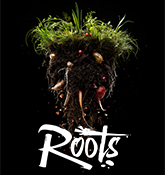 Roots by Aviko - egen hemsida